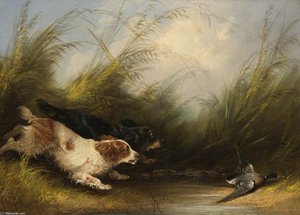 Dogs And Wild Duck — George Armfield (smith)