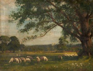Landscape With Sheep — James Purdy