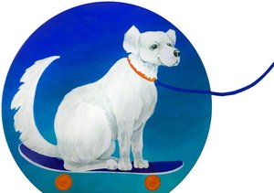 Dog on Skateboard Being Towed