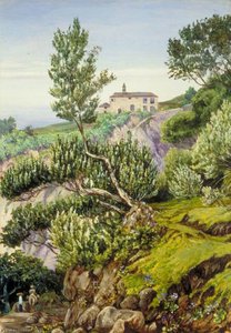 Old Manor Of Castro, Teneriffe — Marianne North, Pre-raphaelite Romanticism