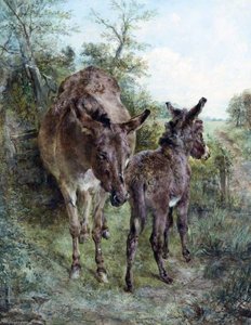 Donkey and Foal