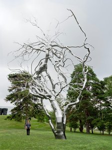 Ferment — Roxy Paine