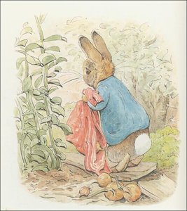 Benjamin Bunny 15a - (11x12) — Beatrix Potter