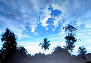 Wordsworth In The Tropics