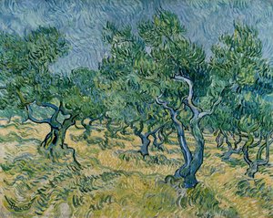Olivo — Vincent Willem Van Gogh