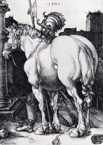 Das Große Pferd — Albrecht Dürer