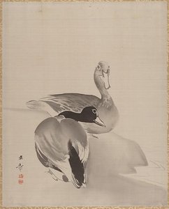 Pair of Ducks