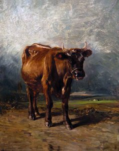 The Red Cow — Constant Troyon