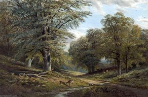 Forest Scene With Deer