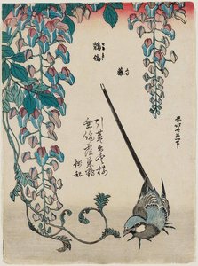 Wisteria And Wagtail — Katsushika Hokusai, Ukiyo-e
