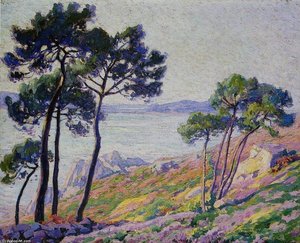 Pins Au Bord De La Mer