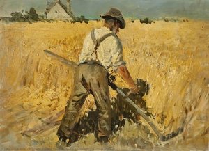 Harvesting Balmoral Road