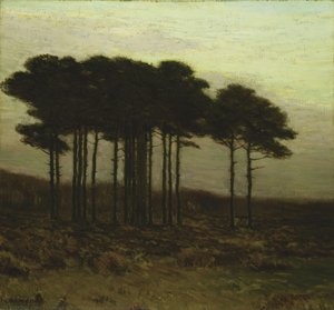 November Landscape
