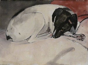 Black And White Puppy — James Mcbey