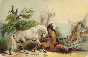 Wild Scenes And Song Birds