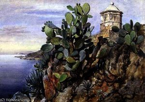 Cactus opuntia