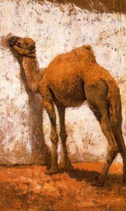 Camel — José Villegas Cordero