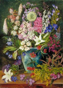 Wild Flowers Of Albany, West Australia — Marianne North