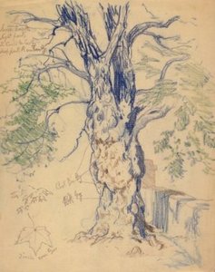 Study Of A Tree — Edward Henry Potthast