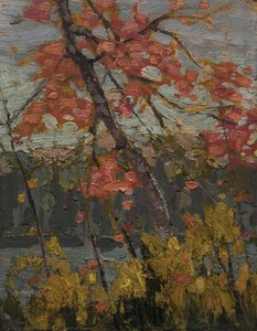 Twisted Maple — Tom Thomson