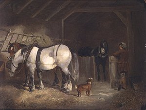 A Stable Interior — Joseph Clark