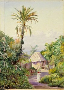 Date Palm And Negro Hut Near Craigton, Jamaica — Marianne North