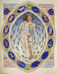 Anatomical Man — Limbourg Brothers