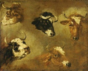 Studies Of Cows' Heads — Nicolaes Pietersz Berchem, Baroque
