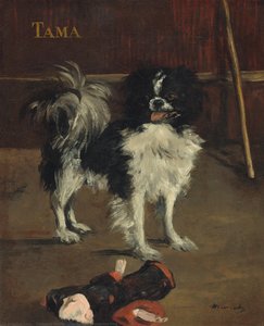 Tama, El Perro Japonés — Édouard Manet