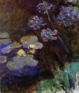 Nenúfares Y Agapantos — Claude Monet