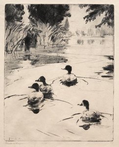 Broadbills — Frank Weston Benson