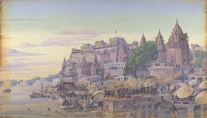 'benares. India. October 23d 1878' — Marianne North