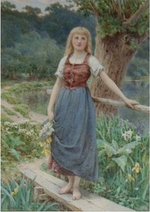 Summer flowers