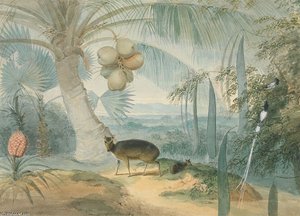A Landscape In Ceylon — Samuel Daniell