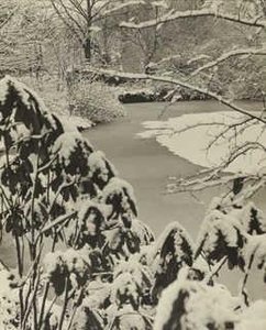 Garden of Mrs. F. F. Prentis, Cleveland