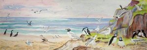 Sea Birds — Oliver Kilbourn