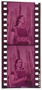 Frida Kahlo (strip Of Two Negatives) — ジュリアン・レヴィ
