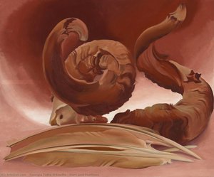 Horn And Feathers — Georgia O'keeffe, Modernism