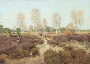 Road over the Heath