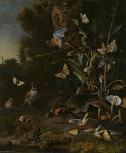 Birds, Butterflies And A Frog Among Plants And Fungi — Melchior De Hondecoetter