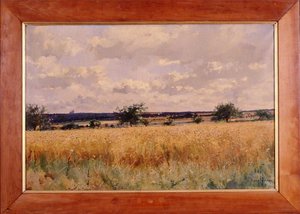 Paysage De Beauce — Pierre-emmanuel Damoye