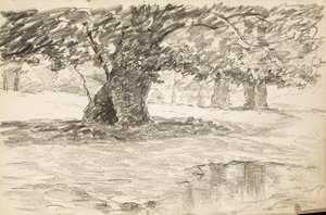 Tree In Puddle — John Ottis Adams