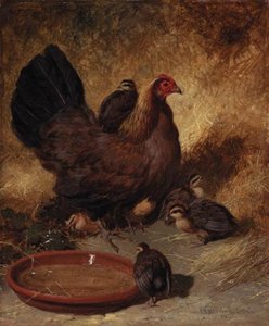 A Hen And Chicks — John Frederick Herring Senior