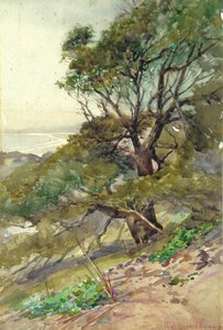 Nz Coast Scene — Francis James Barraud