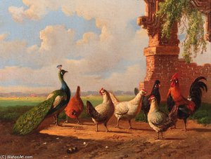 Poultry By Ruined Walls - — Albertus Verhoesen