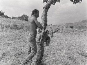 Shepard Leaning On Tree, Sicily — Thomas Roma