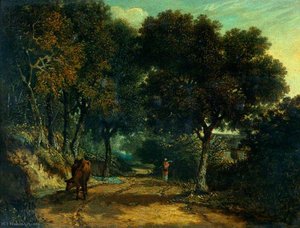 A shady country road
