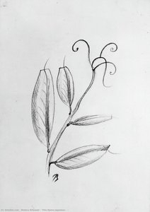 Title Name(Japanese）: 素描