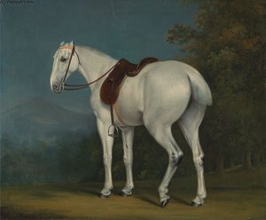 A Lady's Grey Hunter — Jacques Laurent Agasse