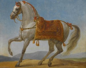 Bonaparte's Arab Stallion, Marengo